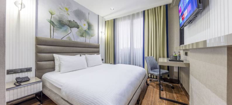 伊斯坦布尔国际机场- 德姆高级酒店 - 往返机场服务(Dem Premium Hotel - Round Trip Airport Service - Istanbul International Airport)图片