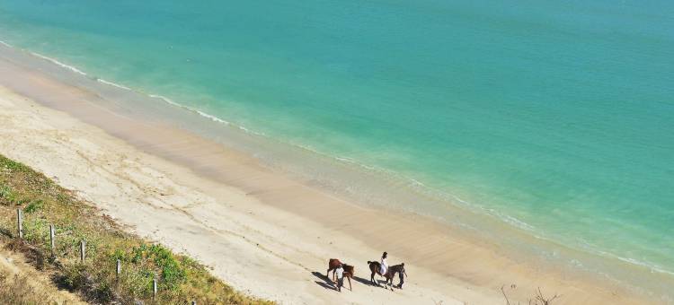 音译：TUNAK旅游胜地龙目(Tunak Resort Lombok)图片