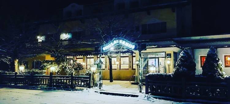 Voglauerhof酒店(Hotel Voglauerhof)图片