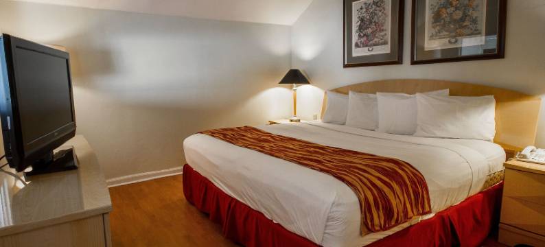 南迈阿密-科勒尔盖布尔斯罗德威旅馆(Rodeway Inn South Miami - Coral Gables)图片