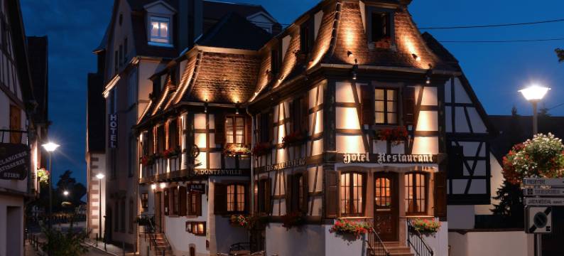 东唐维尔酒店(Hotel Restaurant Dontenville)图片