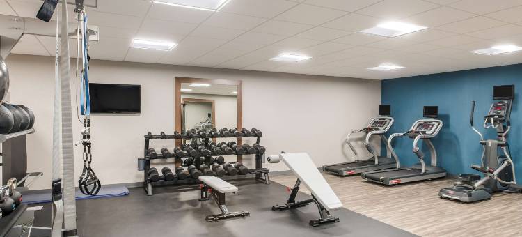 霍顿汉普顿套房酒店(Hampton Inn & Suites by Hilton Houghton)图片