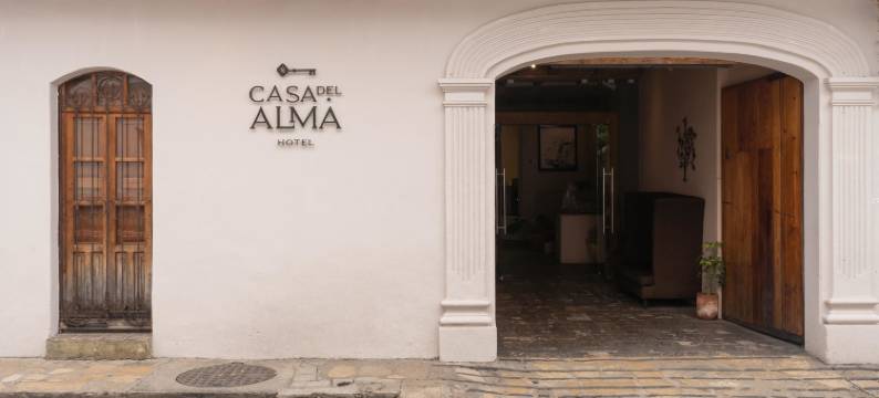 卡萨德尔阿尔玛精品酒店和spa(Casa del Alma Hotel Boutique & Spa)图片