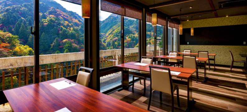 彩向阳酒店(Irodori Koyo)图片