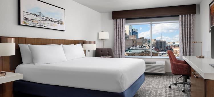 底特律市区希尔顿花园旅馆(Hilton Garden Inn Detroit Downtown)图片