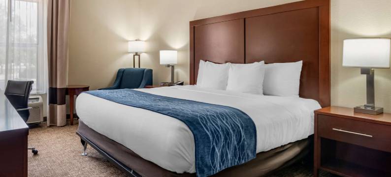 章克申城舒适套房酒店-近莱利堡(Comfort Inn & Suites Junction City - Near Fort Riley)图片