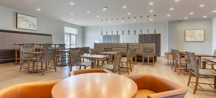 达拉斯理查森坎布里亚酒店(Cambria Hotel Richardson - Dallas)图片