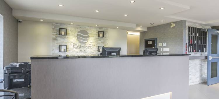 莱维斯舒适酒店(Comfort Inn)图片