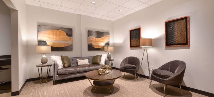 波士顿市中心全球奢华套房酒店(Global Luxury Suites Downtown Boston)图片