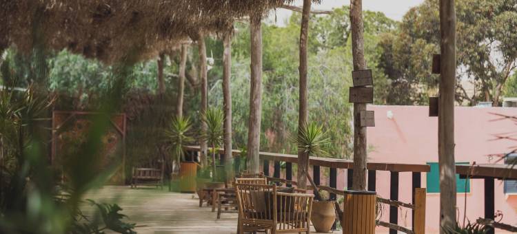 雅各布 米茨佩拉蒙(Jacob Mitzpe Ramon)图片