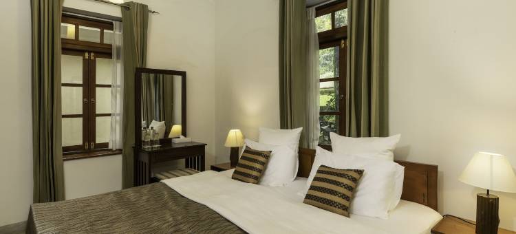 橄榄平房(Olive Bungalow)图片