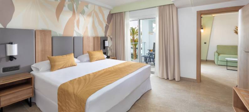 Riu马斯帕洛马斯宫酒店-限成人(Hotel Riu Palace Maspalomas - Adults Only)图片