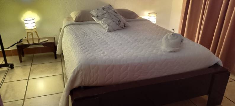 自然太平洋套房饭店(Natural Pacific Suites)图片