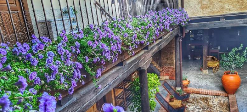 阿尔贝格埃尔恩坎托 - 朝圣者旅舍(Albergue El Encanto)图片