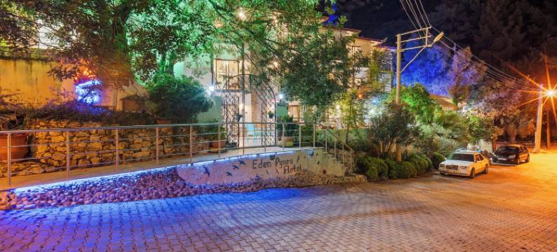 伊甸皮亚拉酒店图伦奇(Eden Pyara Hotel Turunc)图片