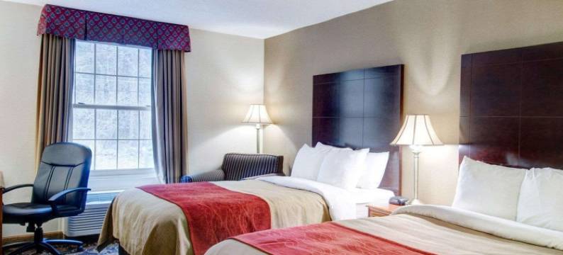 福克斯伯勒-曼斯菲尔德舒适酒店(Comfort Inn Foxboro - Mansfield)图片