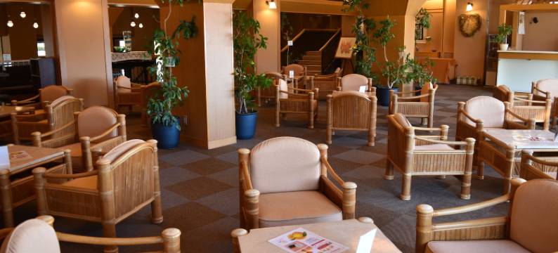 热川王子大酒店(Atagawa Prince Hotel)图片