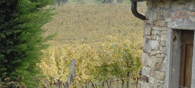 勒花乔农庄酒店(Florence Winery AgriResort - Fattoria Lavacchio)图片