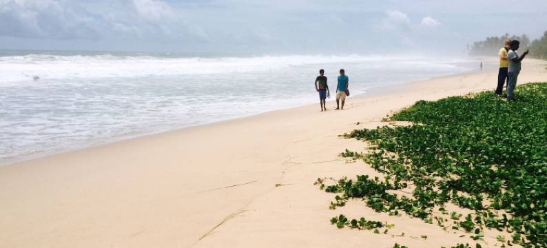 加勒欧查德别墅(Orchard House Galle)图片