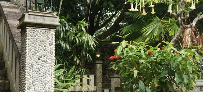 松树花园度假村(Pines Garden Resort)图片