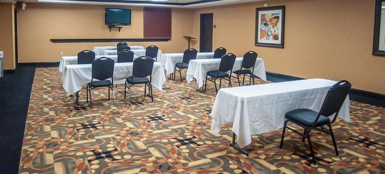 希尔顿欢朋套房酒店-帕勒斯坦(Hampton Inn & Suites Palestine)图片