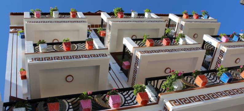 萨帕之龙酒店(Sapa Dragon Hotel)图片