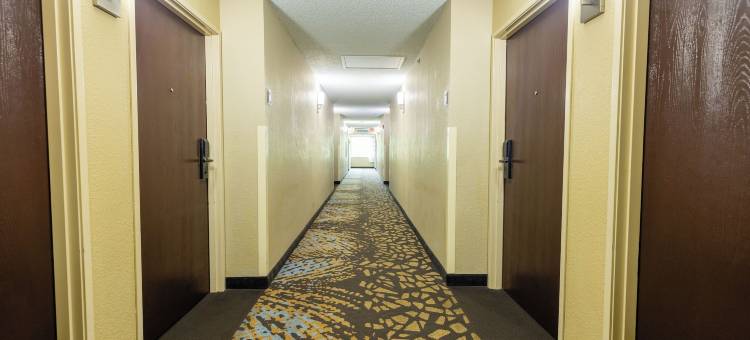 奥蒙德海滩舒眠酒店 - 代托纳(Sleep Inn Ormond Beach - Daytona)图片