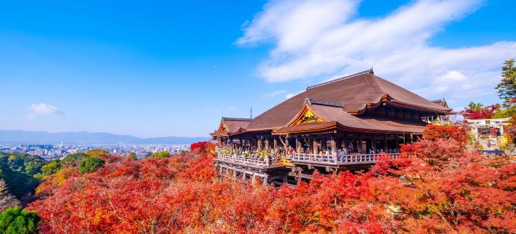 希文京都站日式旅馆(Hifumi Ryokan)图片