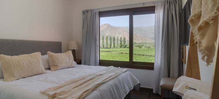 Buena Vid由Chadel管理(Buena Vid by Chadel Management)图片