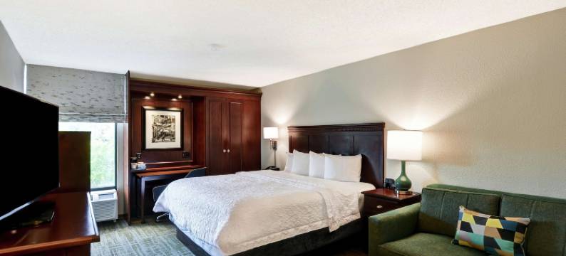 希尔顿欢朋酒店-夏洛特加斯托尼亚(Hampton Inn Charlotte/Gastonia)图片