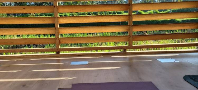 Les Rizieres Lombok - 稻田乡(Les Rizieres Lombok - Tetebatu)图片