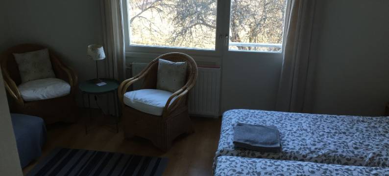 孙讷穆绿屋旅馆(The Green House Guesthouse)图片