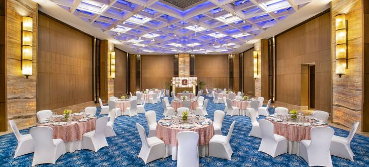 新德里利拉格调会议酒店(The Leela Ambience Convention Hotel Delhi)图片