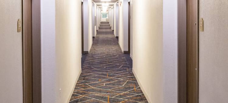 Candlewood Suites 里士满南 by IHG(Candlewood Suites Richmond-South)图片