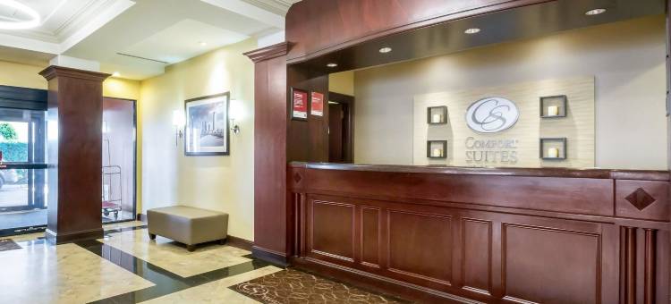 伍德布里奇舒适套房(Comfort Suites at Woodbridge)图片