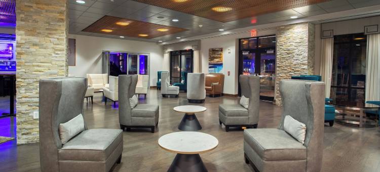 威廉斯维尔斯漫步水牛城酒店，希尔顿启缤精选(The Mosey Buffalo Williamsville, Tapestry Collection by Hilton)图片