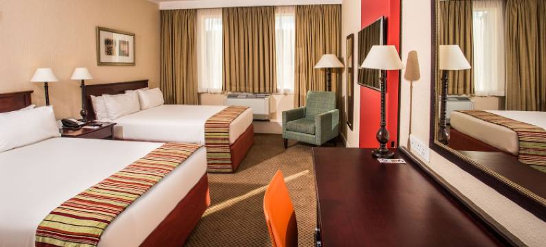 坦博国际机场庭院酒店(Garden Court or Tambo International Airport)图片