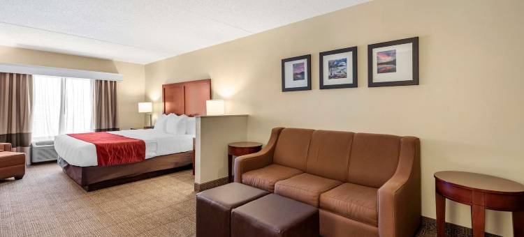 舒适套房酒店(Comfort Inn & Suites)图片