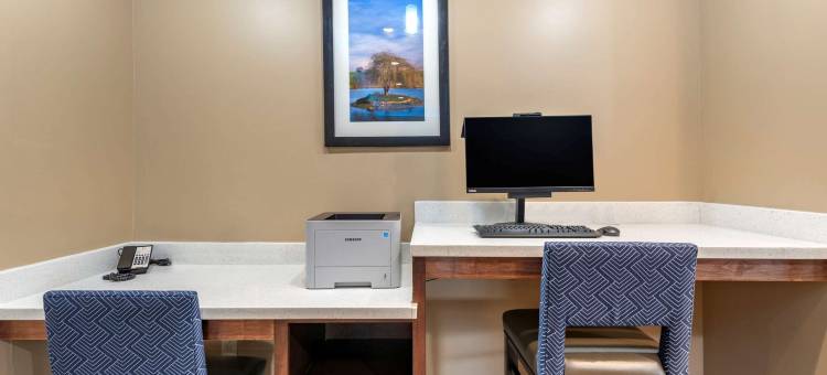 舒适套房酒店(Comfort Suites)图片