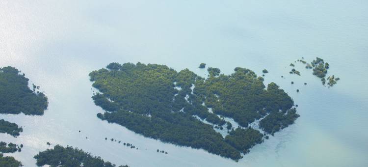 安加加维旅馆 - 罗莱夏朵酒店(Anjajavy le Lodge - Relais&Châteaux)图片