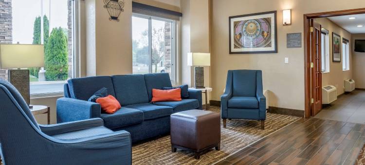 迪蒙代尔舒适套房酒店(Comfort Inn & Suites Dimondale - Lansing)图片