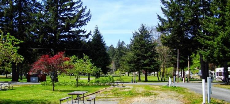 红木草原房车度假村和小屋酒店(Redwood Meadows RV Resort)图片