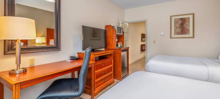舒适套房酒店-千岛海港区(Comfort Inn & Suites Thousand Islands Harbour District)图片