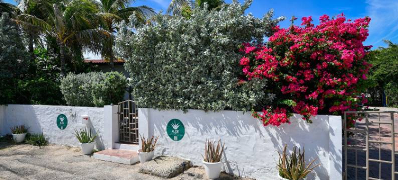 ALOE 民宿(Aloe B&B)图片