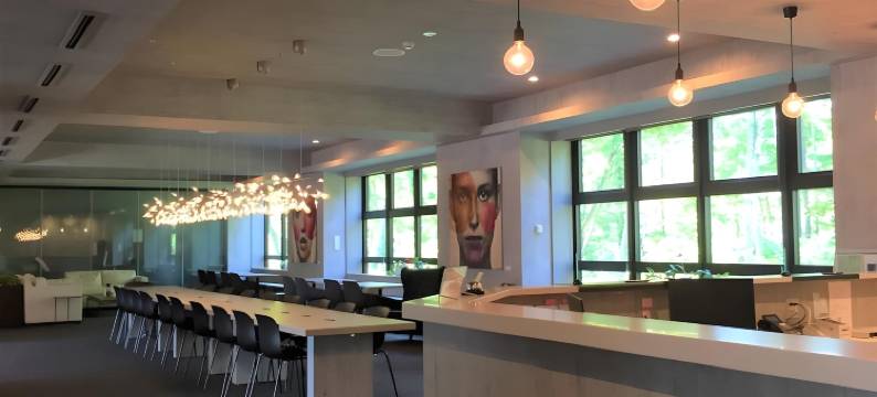 新雪谷中城酒店(Midtown Niseko)图片