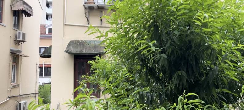 EchoZ特色民宿(淮海中路分店)图片