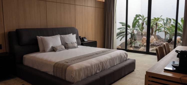 卡门索洛特尔之家(Casa Carmen Xólotl)图片