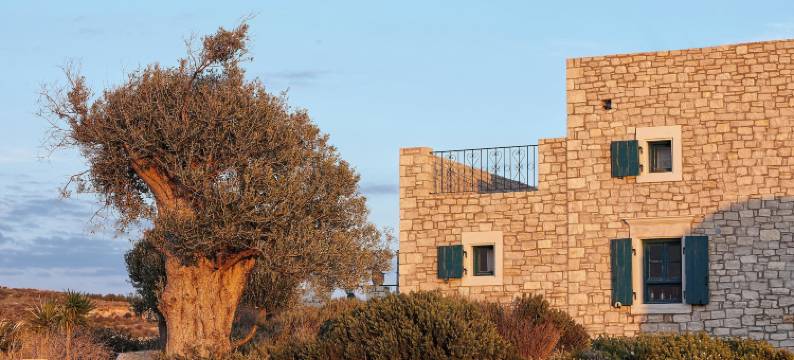 欧雷里亚克雷坦别墅与华丽公寓酒店(Orelia Cretan Deluxe Apartments)图片