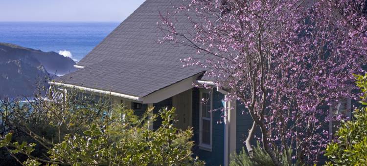 SCP Mendocino海岸小屋(Scp Mendocino Coast Lodge)图片