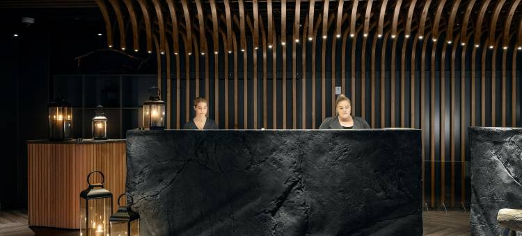 拉普兰酒店竞技场(Lapland Hotels Arena)图片